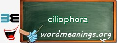 WordMeaning blackboard for ciliophora